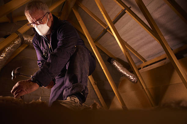 Best Residential Insulation in Vienna, VA